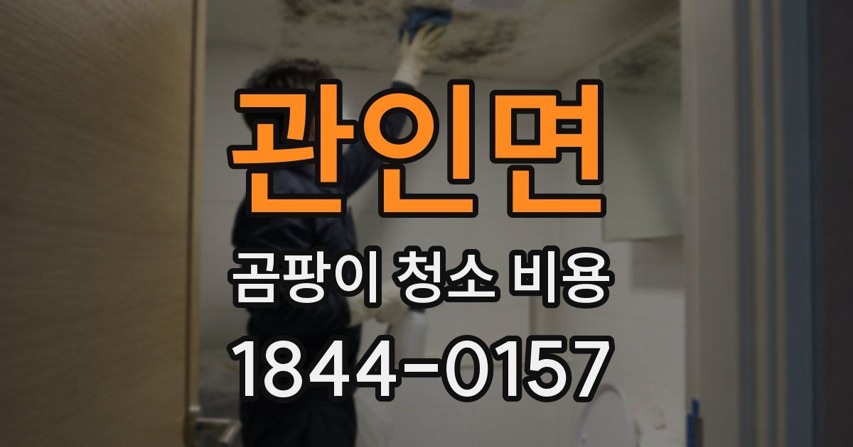 관인면 곰팡이 청소 비용