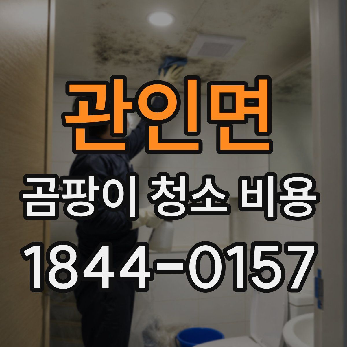 관인면 곰팡이 청소 비용