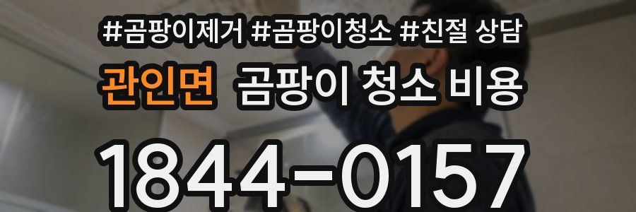 관인면 곰팡이 청소 비용