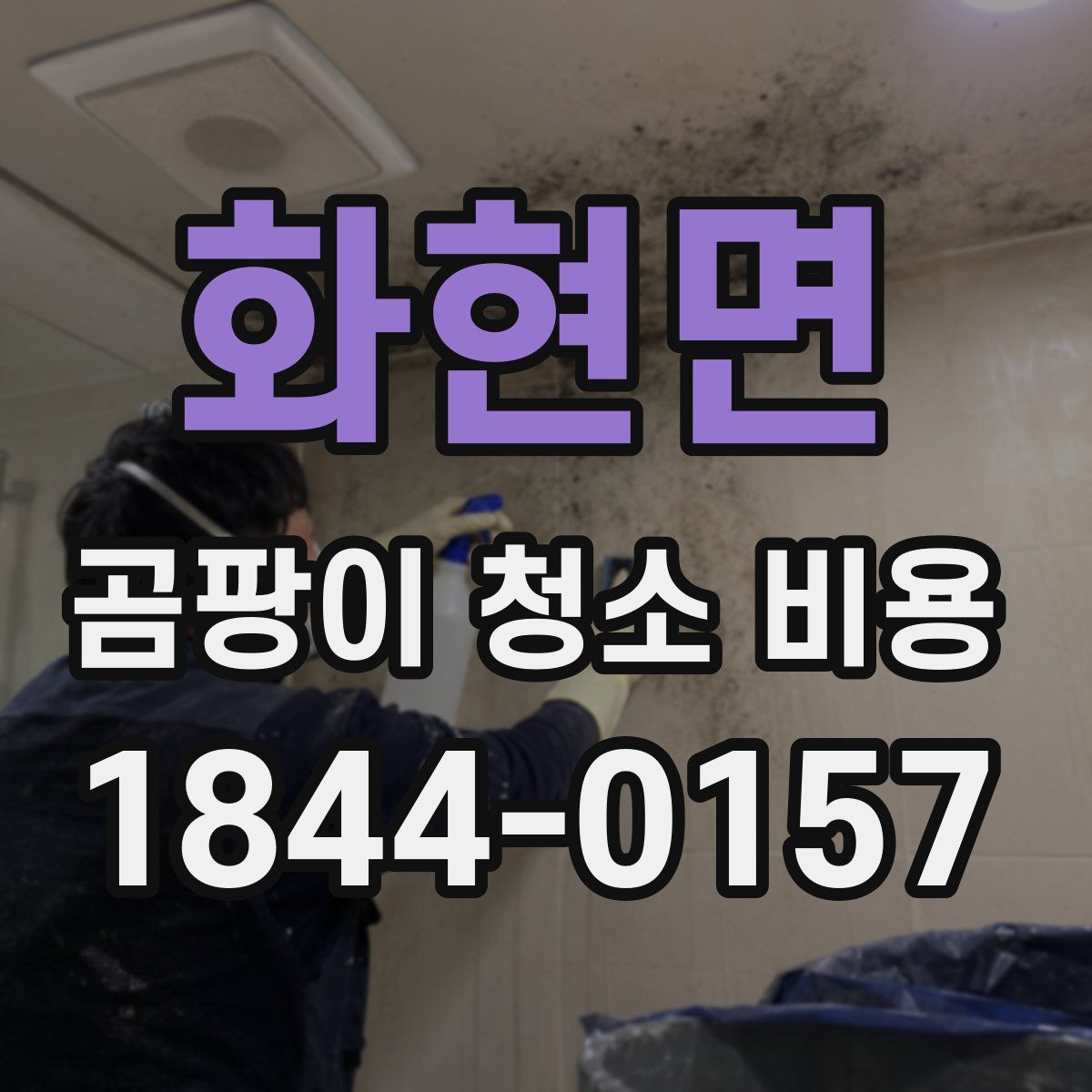 화현면 곰팡이 청소 비용