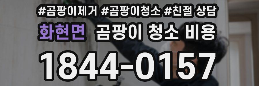 화현면 곰팡이 청소 비용