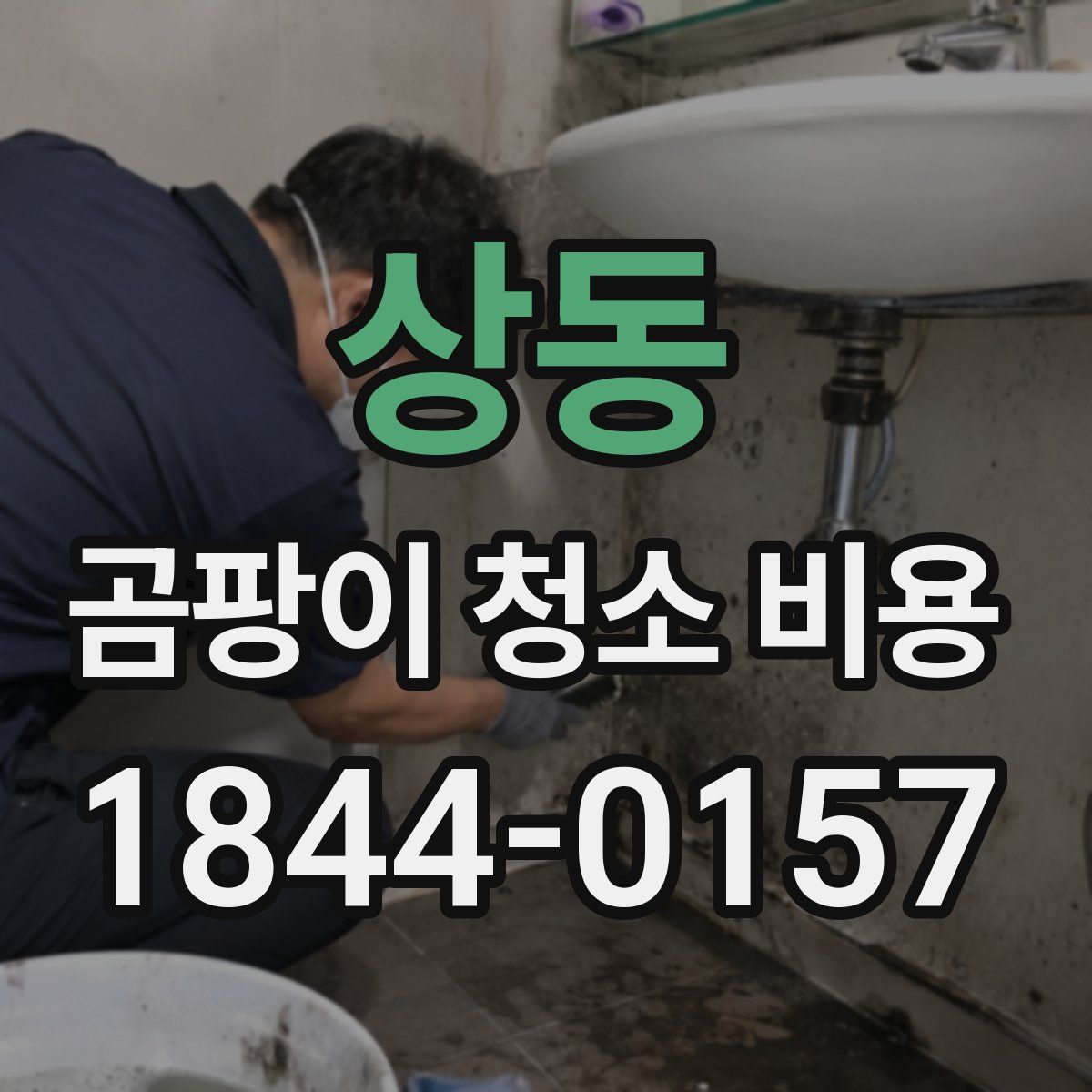 상동 곰팡이 청소 비용