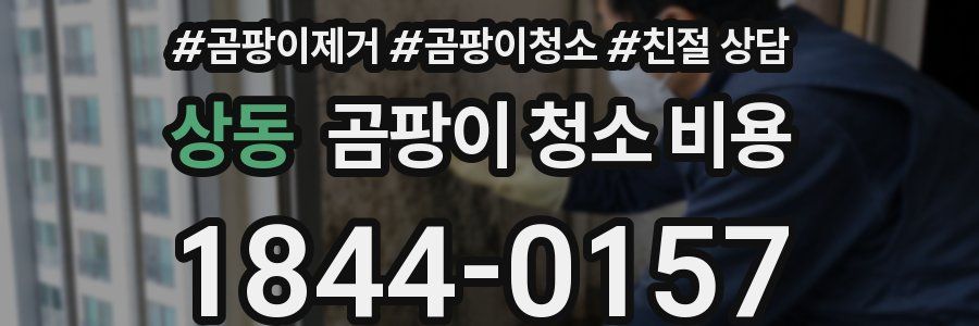 상동 곰팡이 청소 비용
