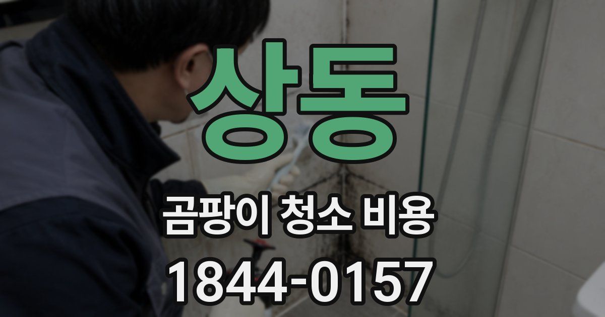 상동 곰팡이 청소 비용