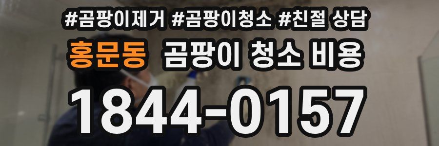 홍문동 곰팡이 청소 비용