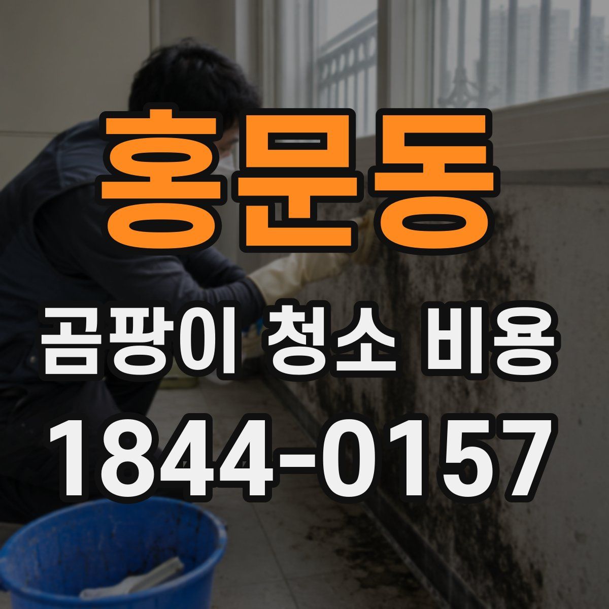 홍문동 곰팡이 청소 비용