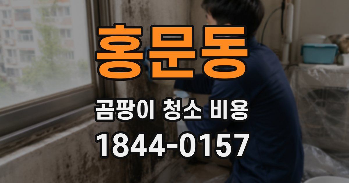 홍문동 곰팡이 청소 비용