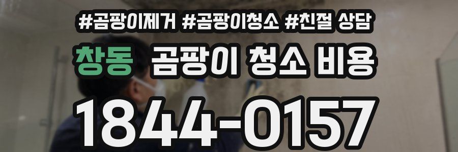 창동 곰팡이 청소 비용