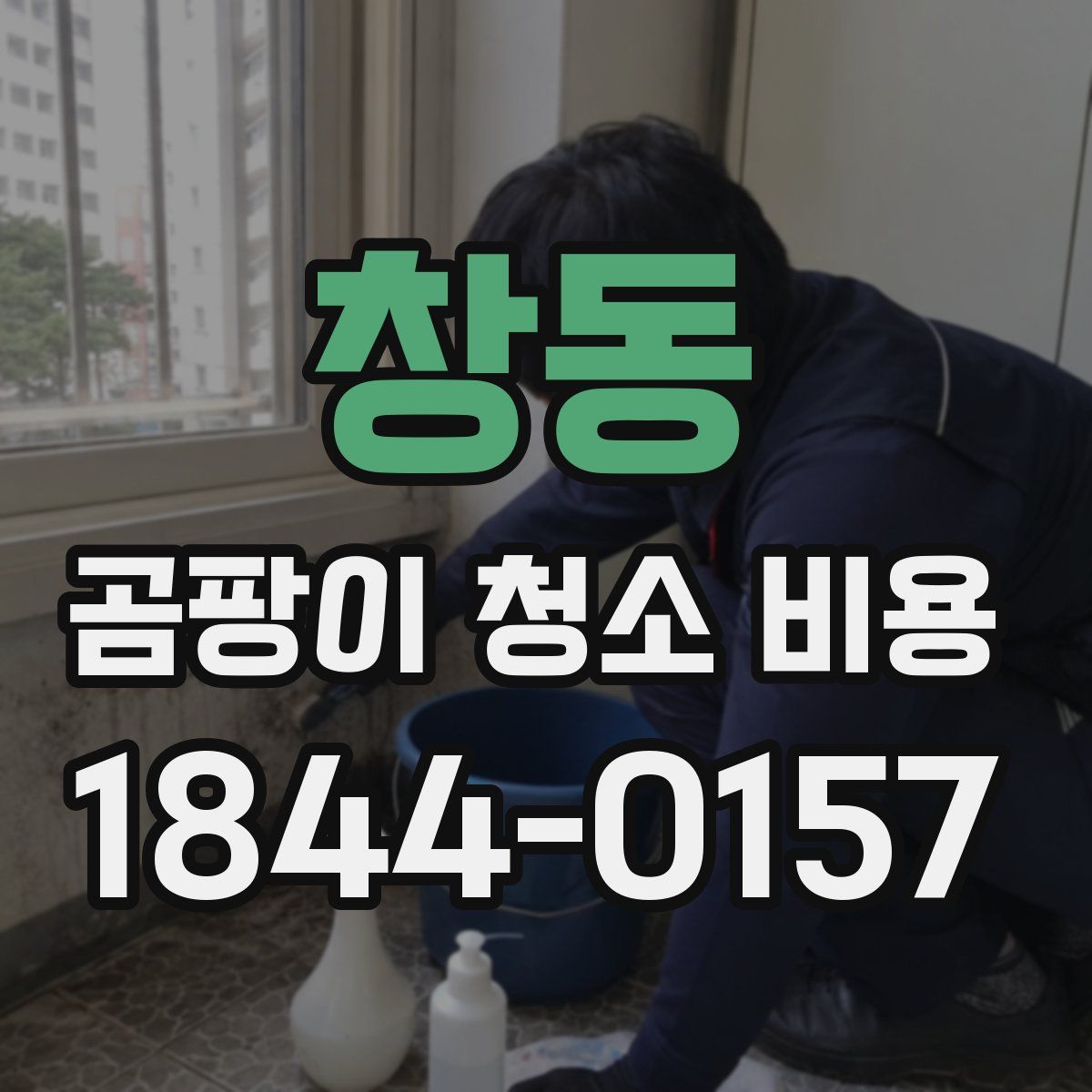 창동 곰팡이 청소 비용