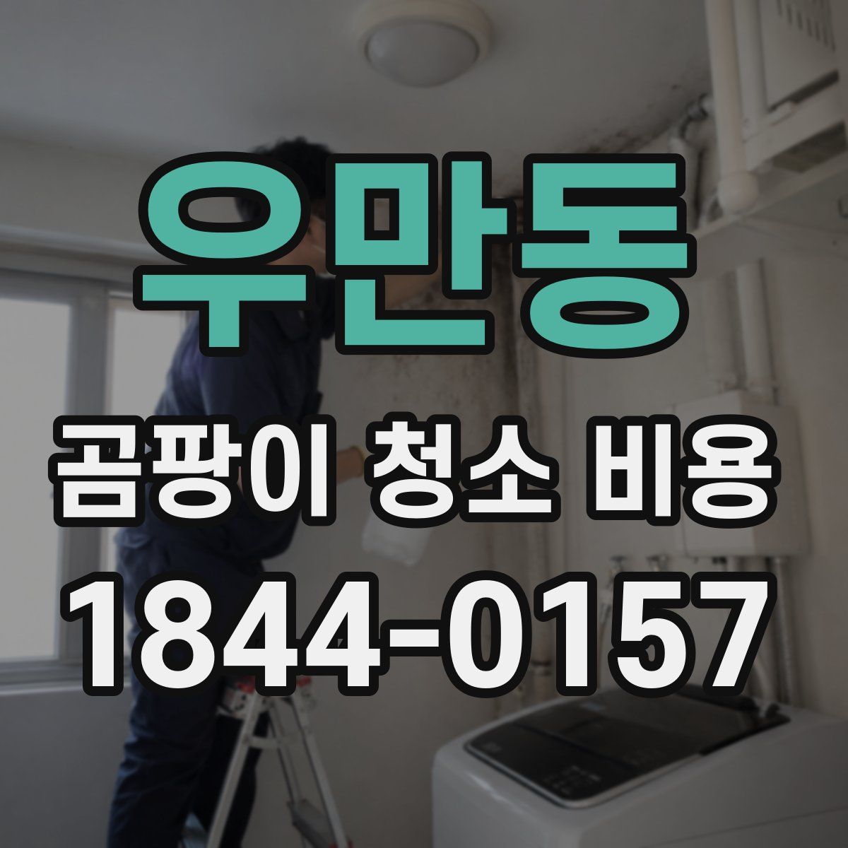 우만동 곰팡이 청소 비용