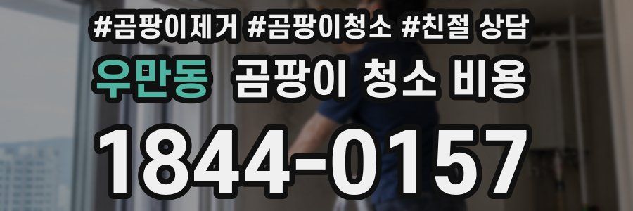 우만동 곰팡이 청소 비용