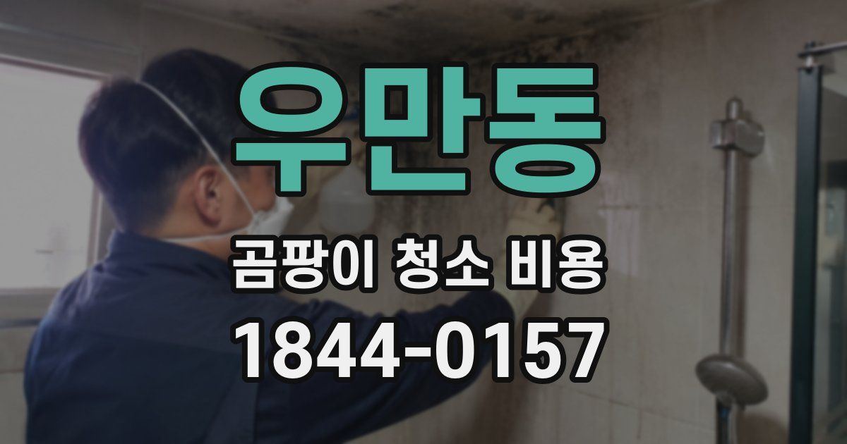 우만동 곰팡이 청소 비용