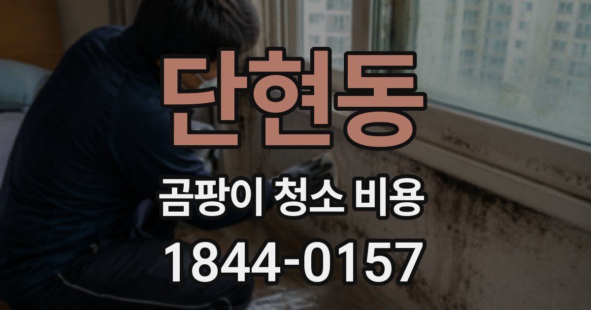 단현동 곰팡이 청소 비용