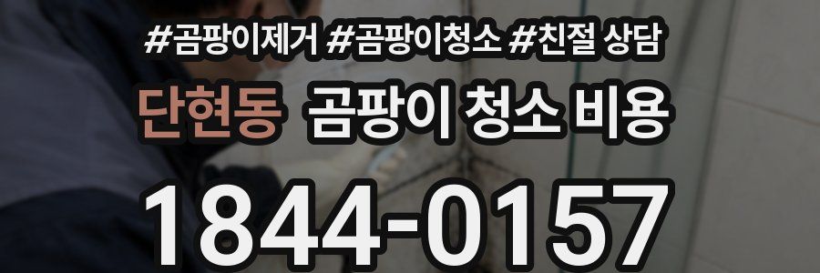 단현동 곰팡이 청소 비용