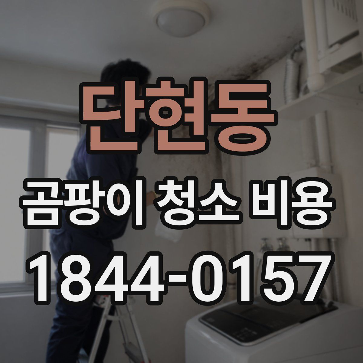 단현동 곰팡이 청소 비용