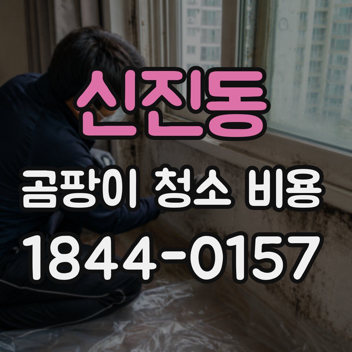 신진동 곰팡이 청소 비용