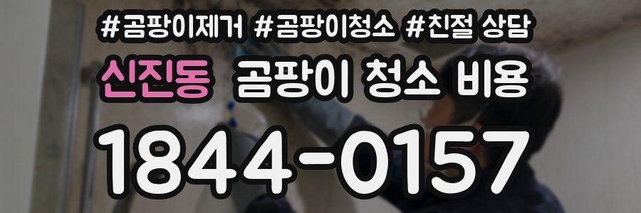 신진동 곰팡이 청소 비용