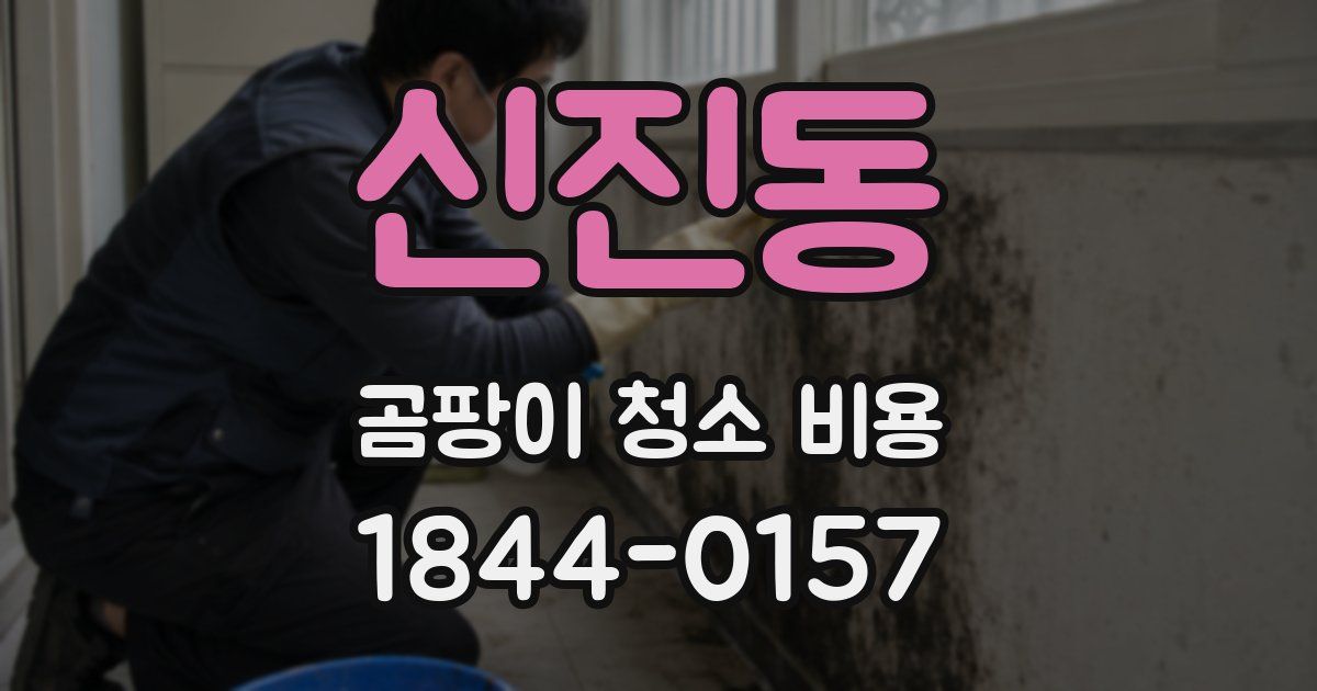 신진동 곰팡이 청소 비용