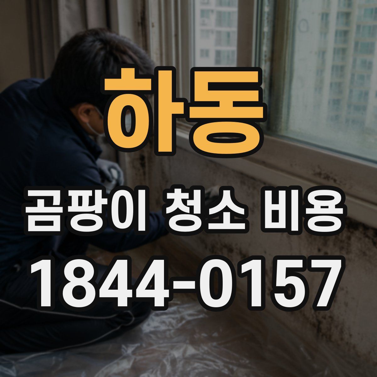 하동 곰팡이 청소 비용