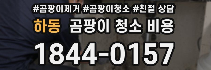 하동 곰팡이 청소 비용