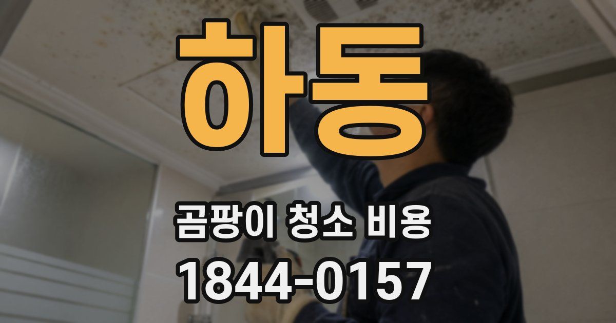 하동 곰팡이 청소 비용