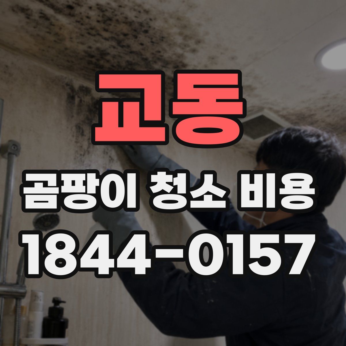 교동 곰팡이 청소 비용