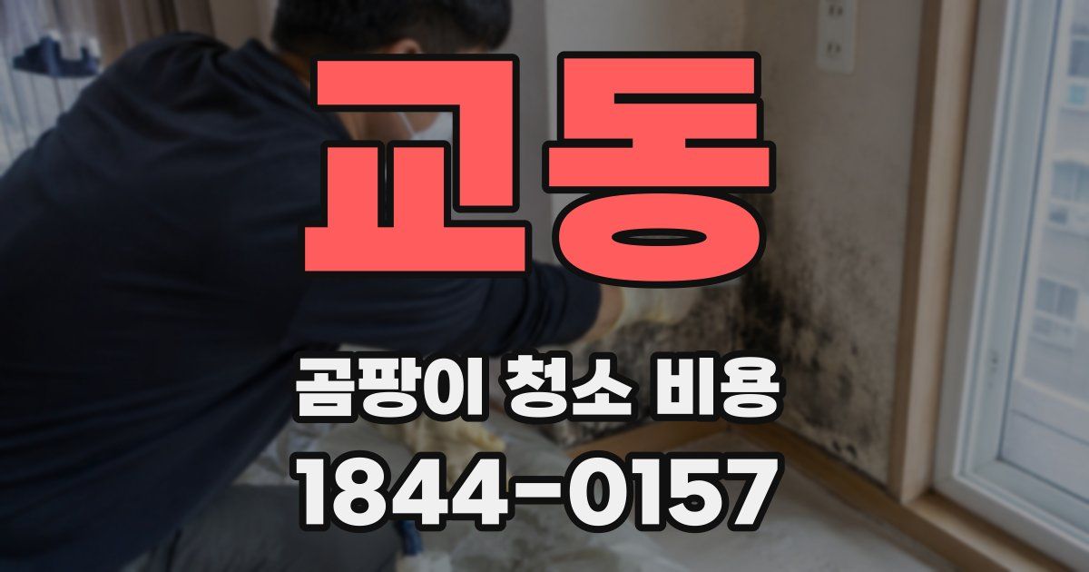 교동 곰팡이 청소 비용
