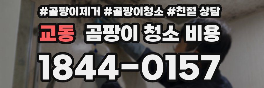 교동 곰팡이 청소 비용