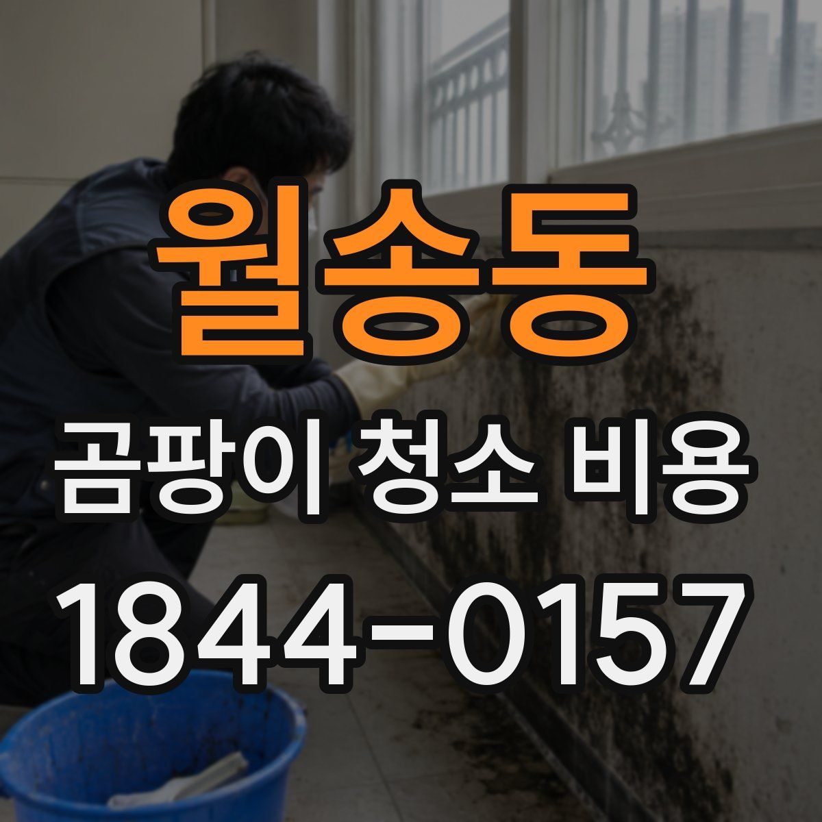 월송동 곰팡이 청소 비용