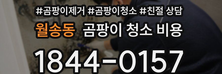 월송동 곰팡이 청소 비용