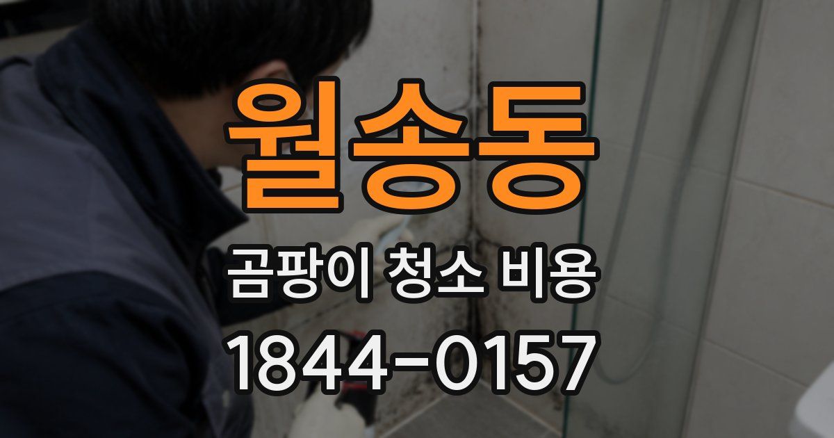 월송동 곰팡이 청소 비용