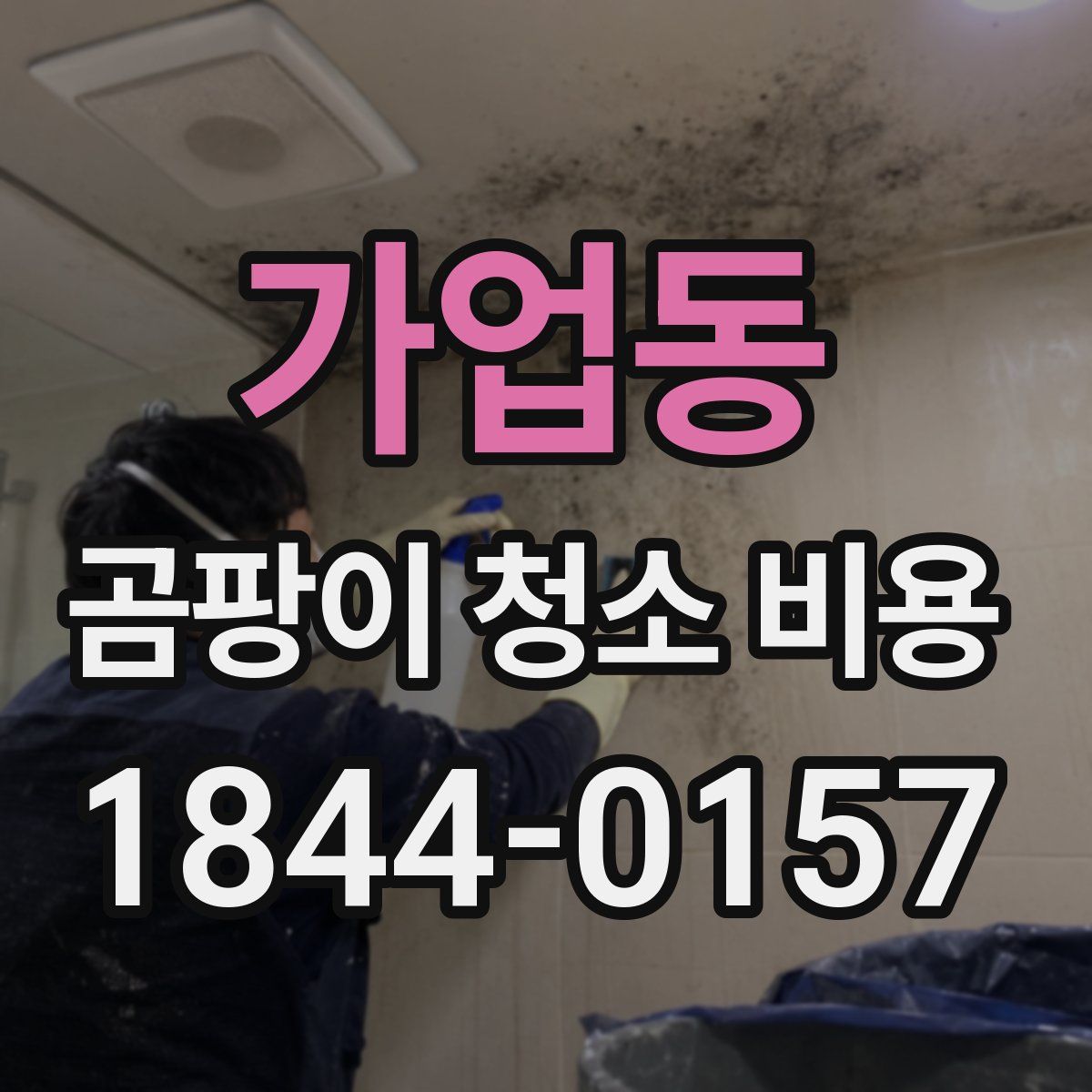 가업동 곰팡이 청소 비용