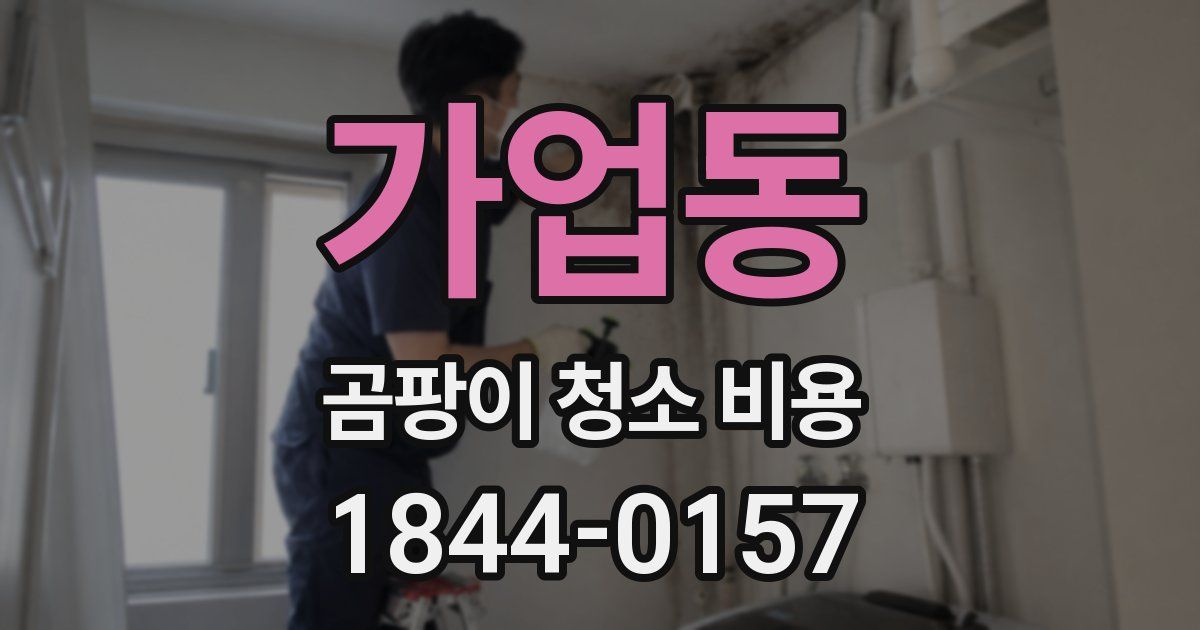 가업동 곰팡이 청소 비용