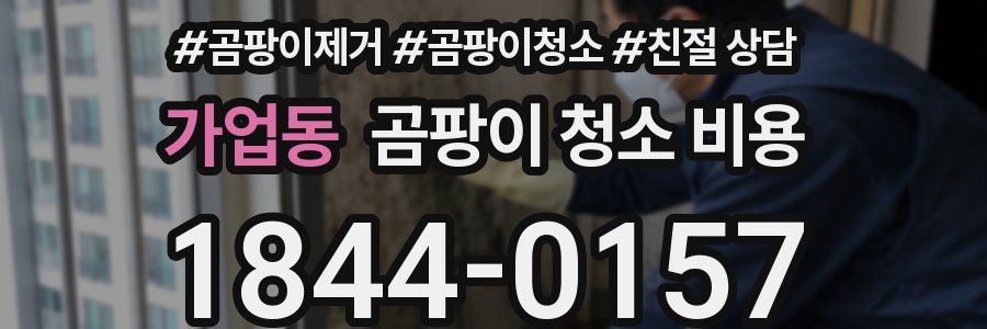 가업동 곰팡이 청소 비용