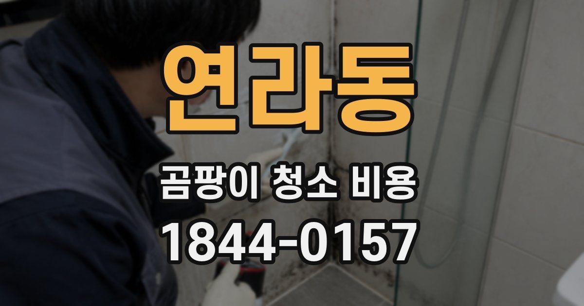 연라동 곰팡이 청소 비용