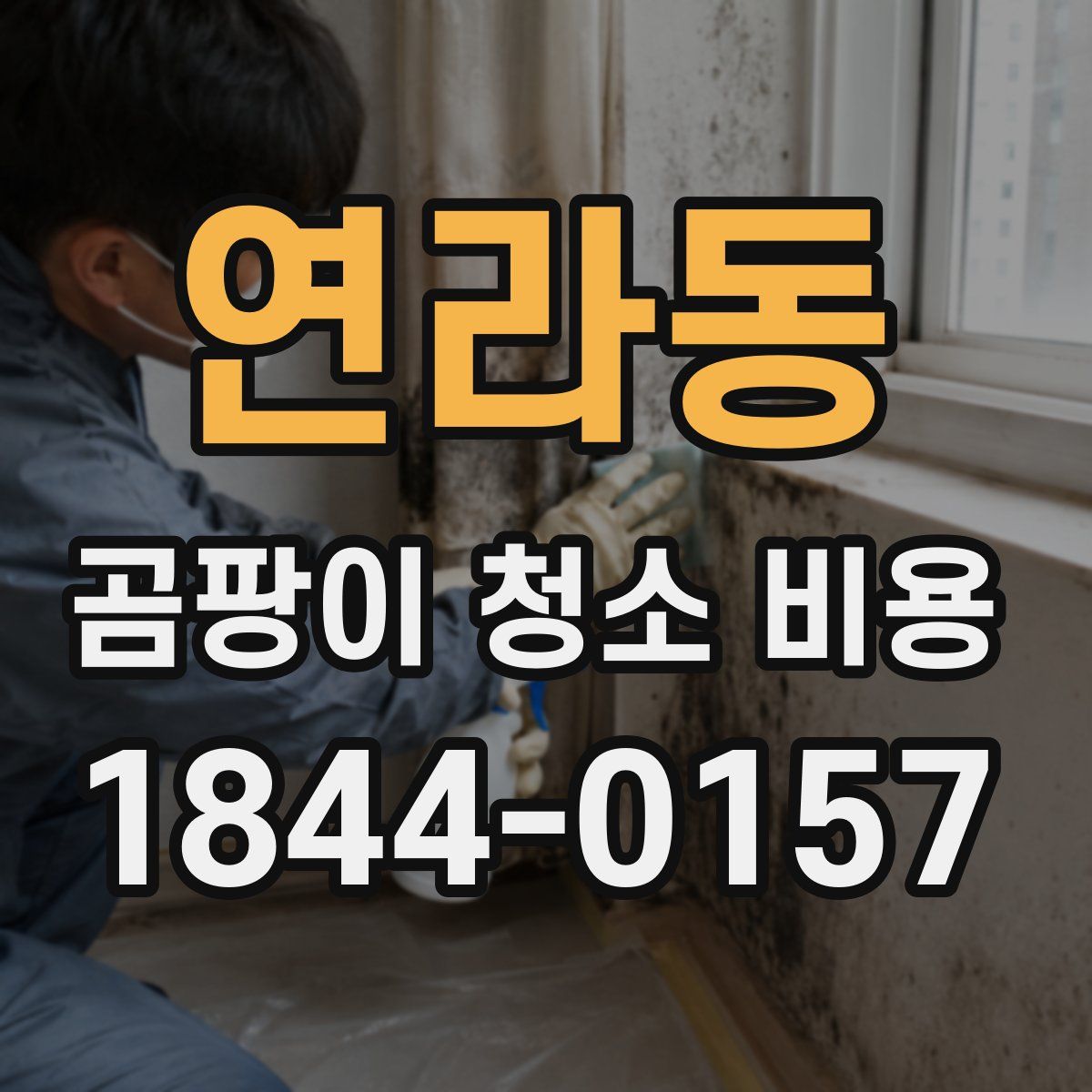 연라동 곰팡이 청소 비용