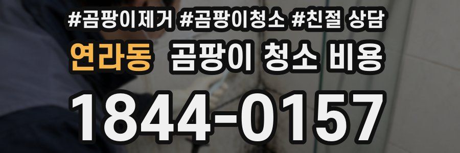 연라동 곰팡이 청소 비용