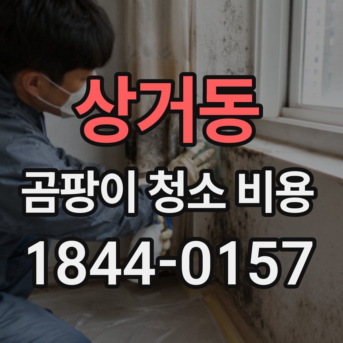 상거동 곰팡이 청소 비용 상담 시 계약서에서 볼 부분