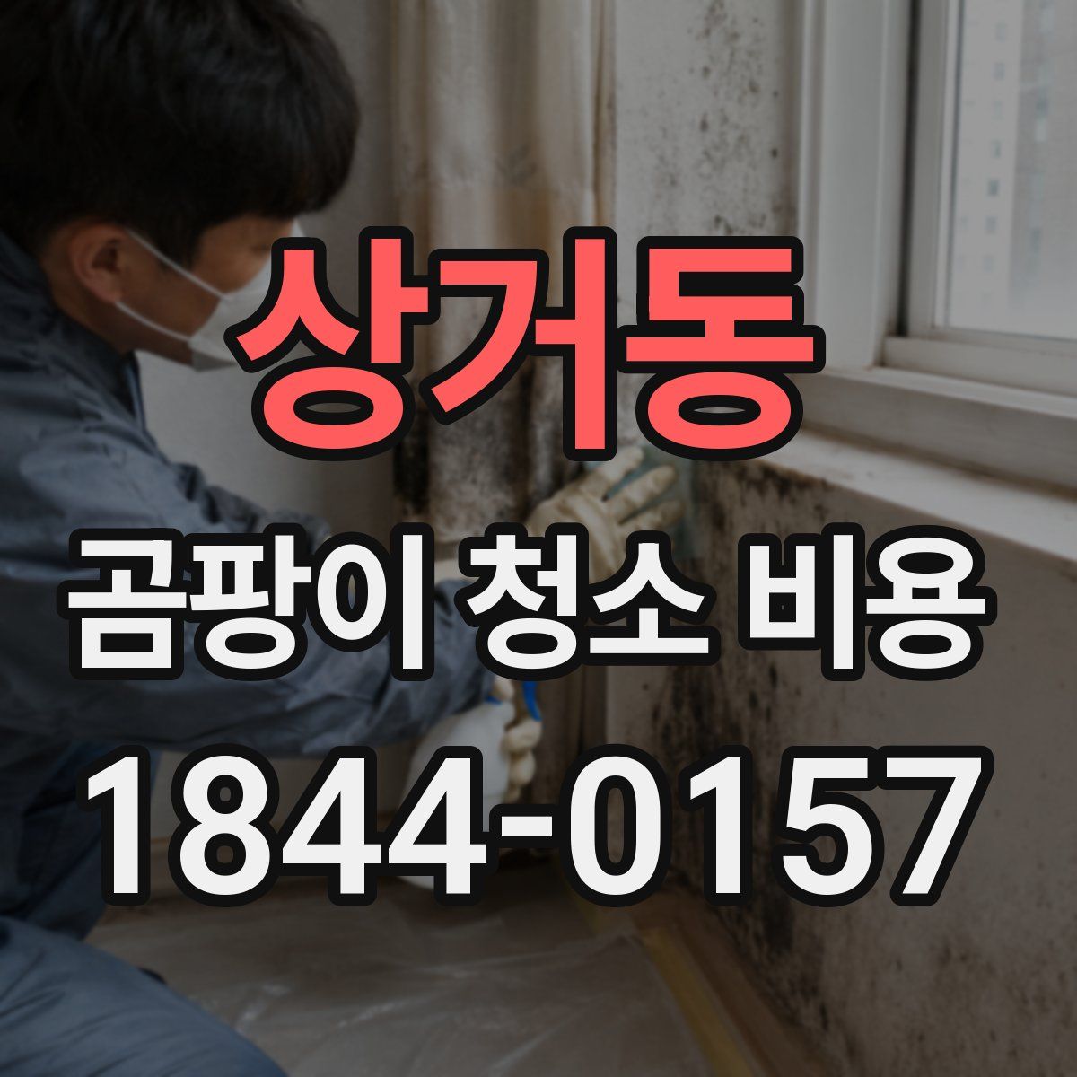 상거동 곰팡이 청소 비용