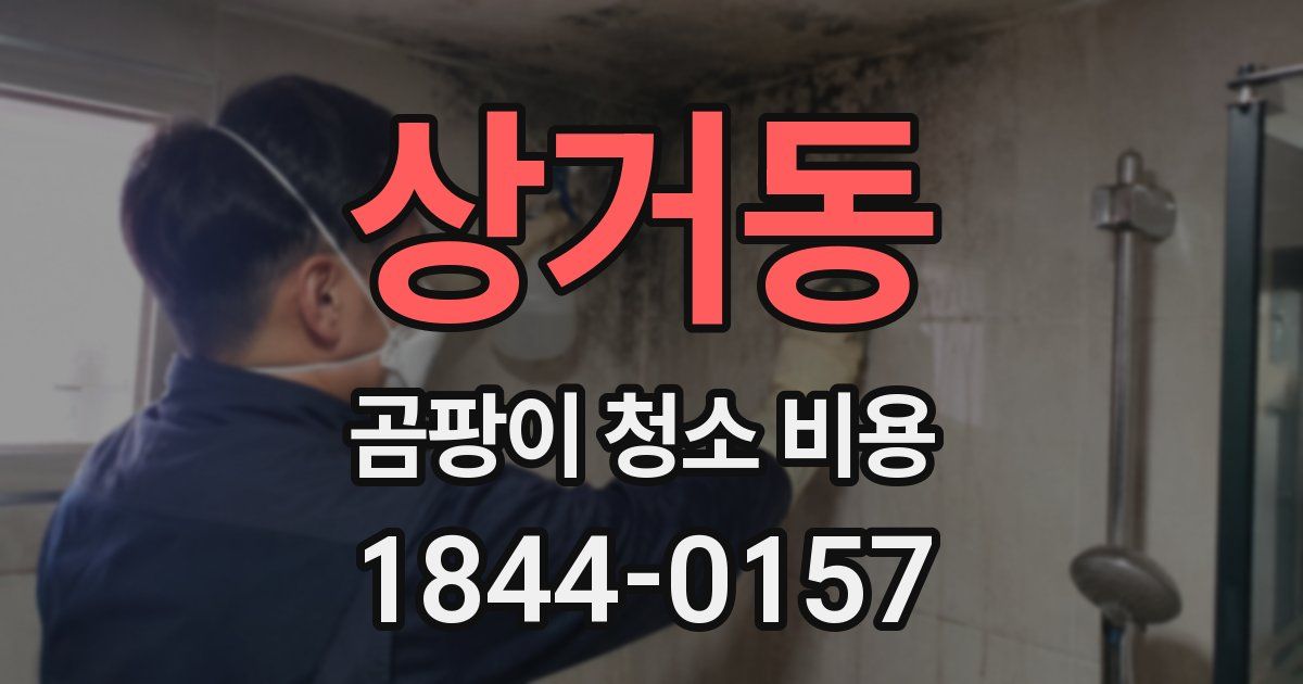 상거동 곰팡이 청소 비용