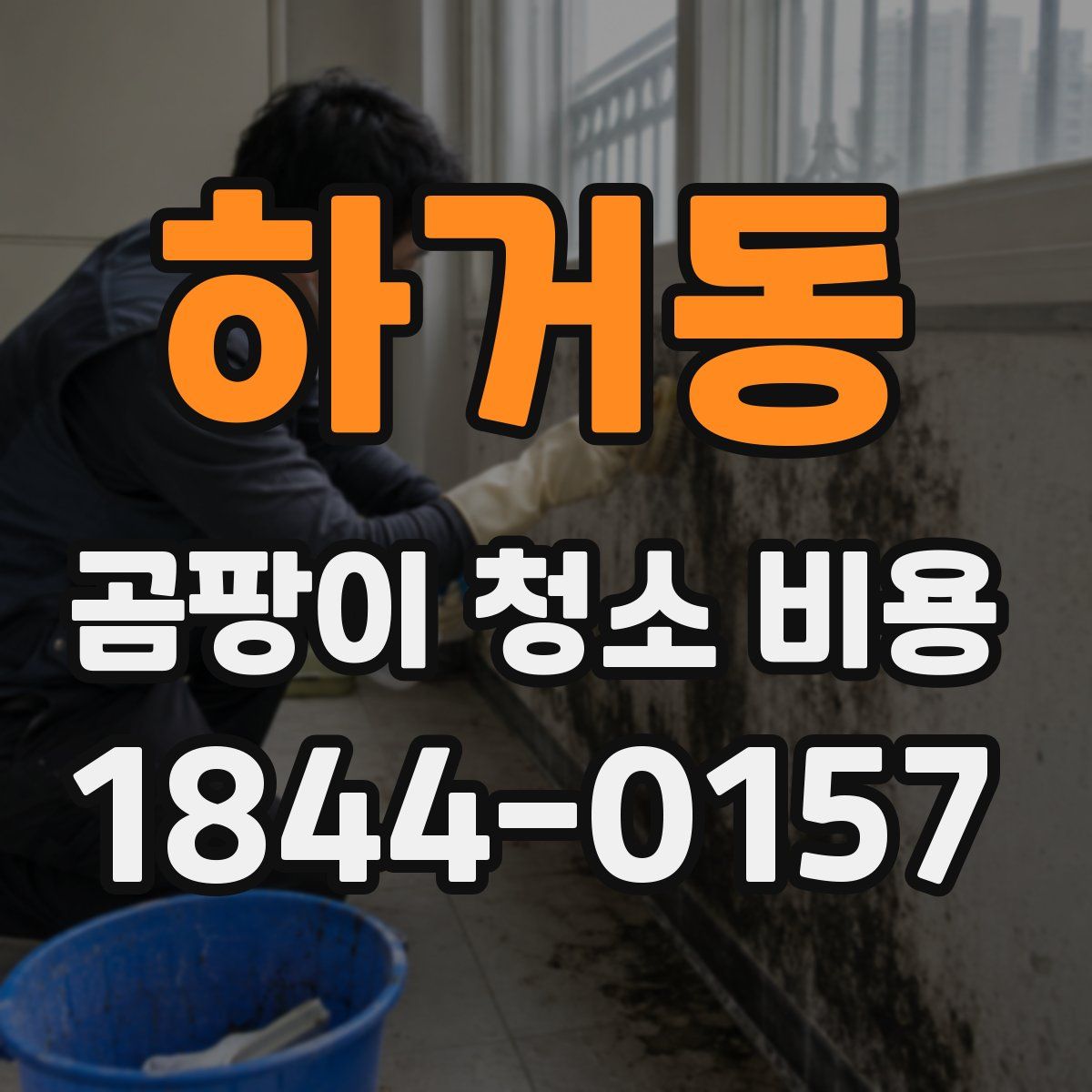하거동 곰팡이 청소 비용