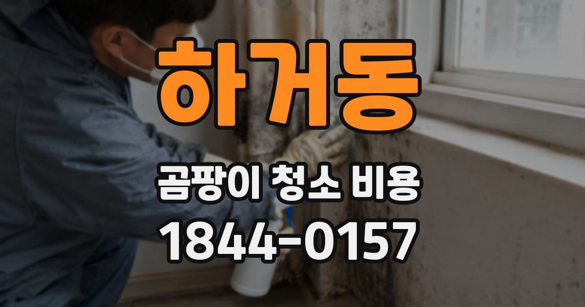 하거동 곰팡이 청소 비용