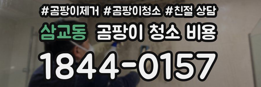 삼교동 곰팡이 청소 비용