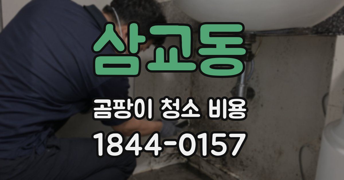 삼교동 곰팡이 청소 비용
