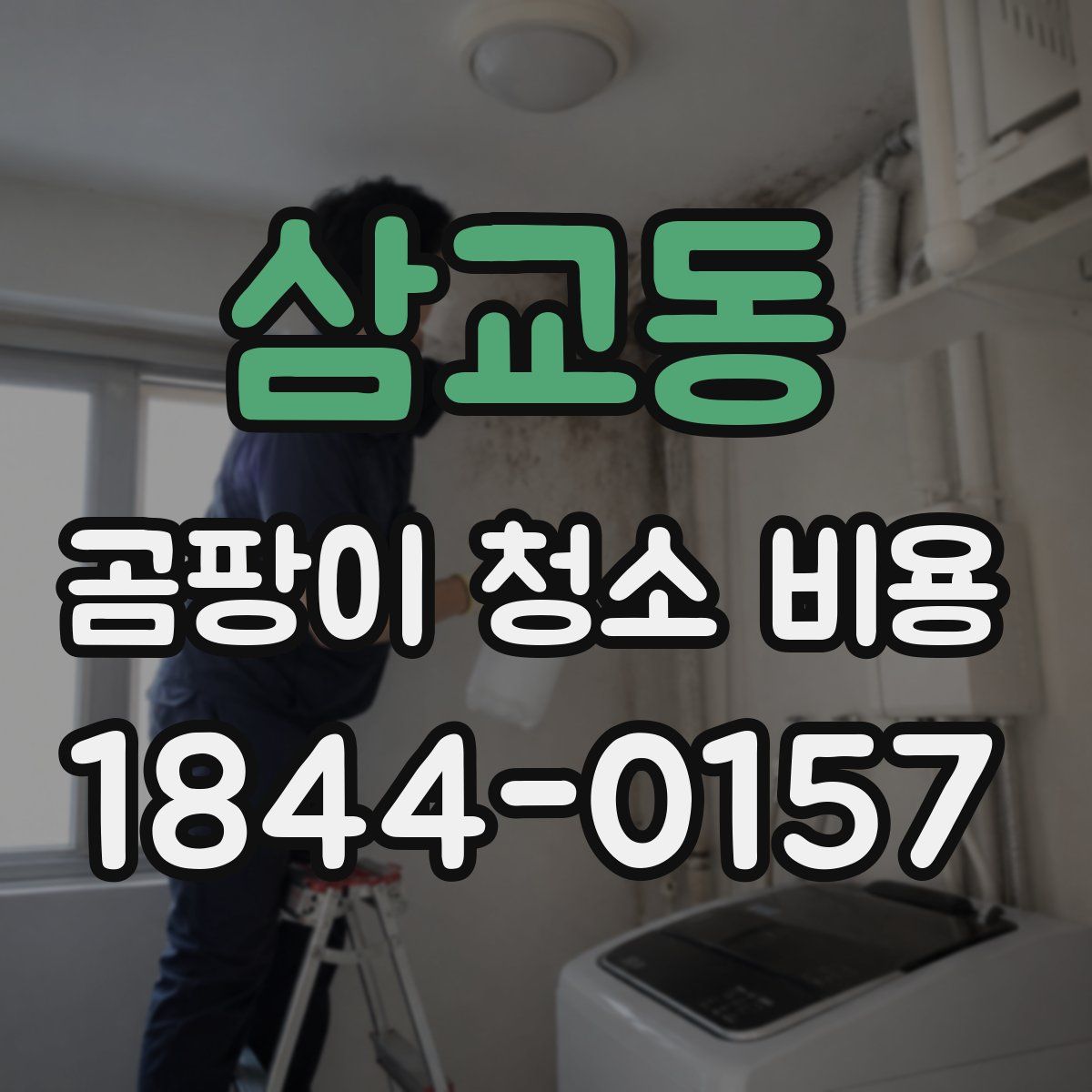 삼교동 곰팡이 청소 비용