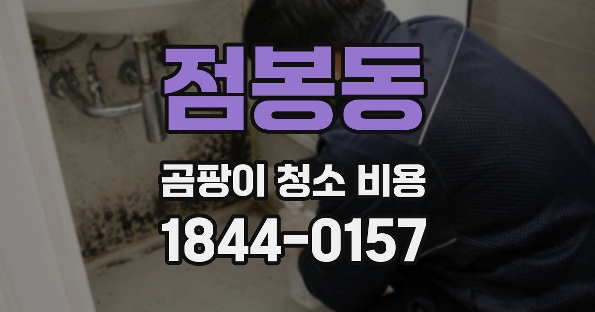 점봉동 곰팡이 청소 비용