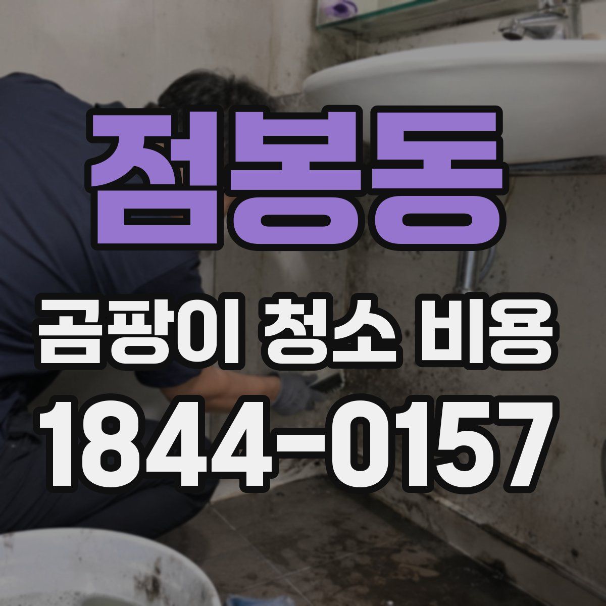 점봉동 곰팡이 청소 비용