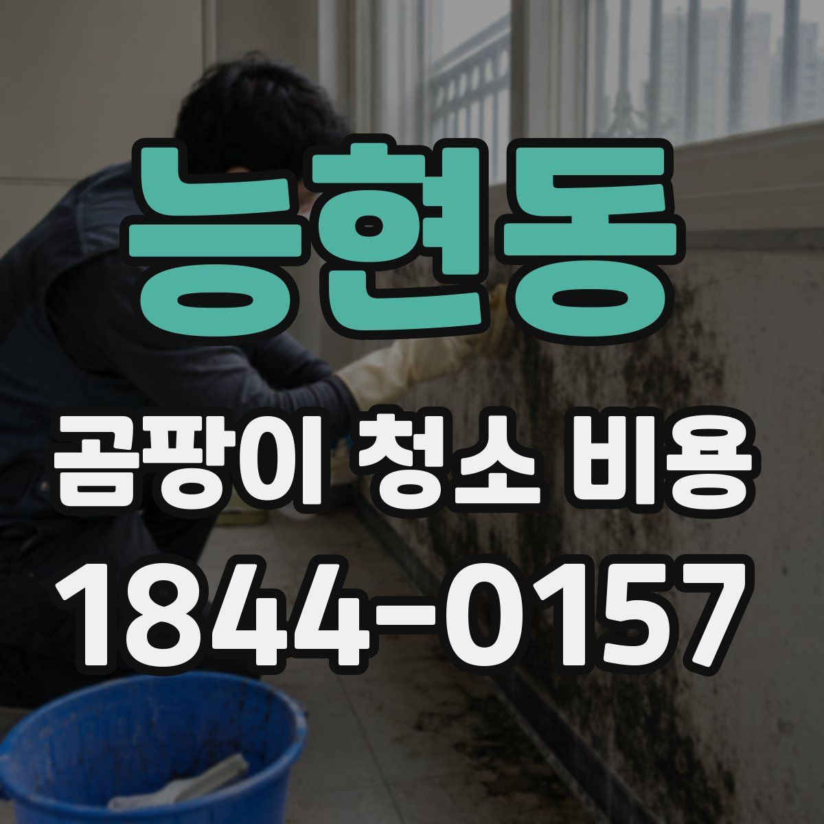 능현동 곰팡이 청소 비용