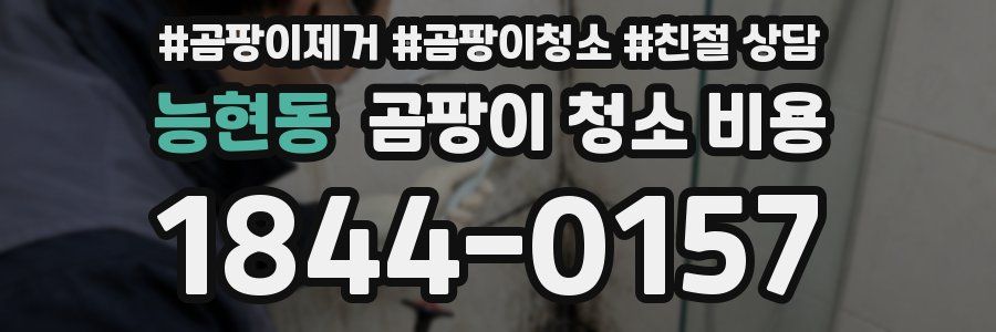 능현동 곰팡이 청소 비용