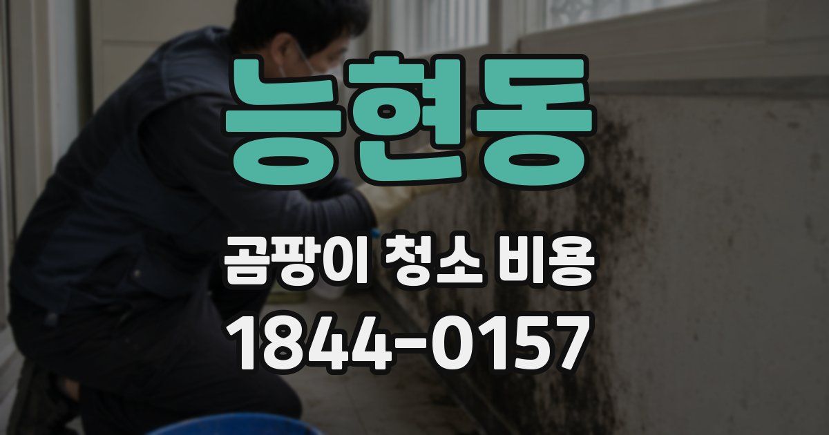 능현동 곰팡이 청소 비용